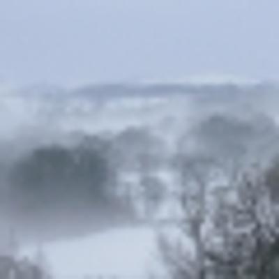 MidWales Trees Snow and Mist 3 - KDE Store