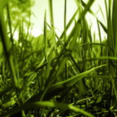 grass - KDE Store