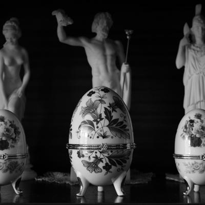 Eggs - KDE Store