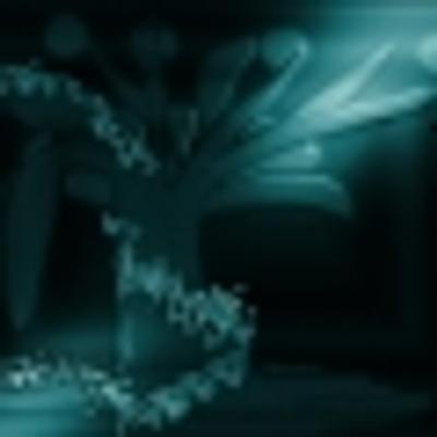 Night - KDE Store