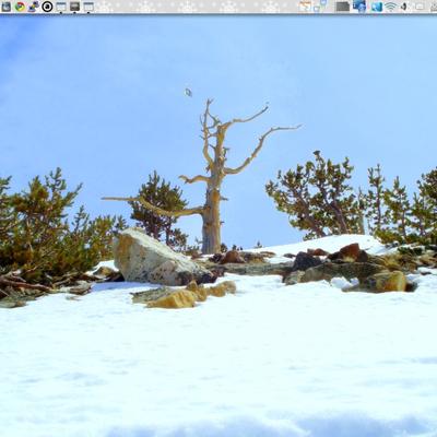 Cold Tree - KDE Store