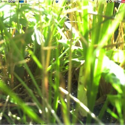 Grass - KDE Store