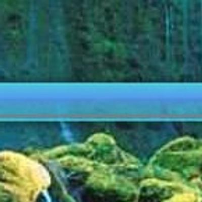 Google Chrome (Modified) - KDE Store