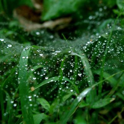 Drops - KDE Store