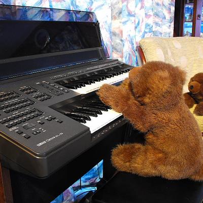 Bear With Audience - KDE Store