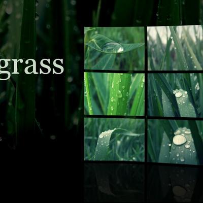 Dewy Grass - KDE Store