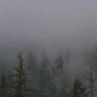 Mist - KDE Store