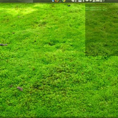 Green but not grass - KDE Store
