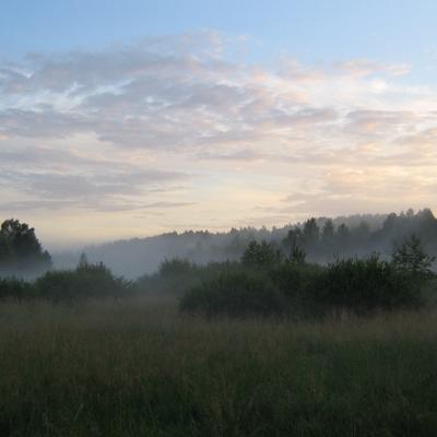 Evening mist - KDE Store