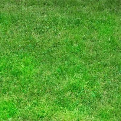 Green grass - KDE Store