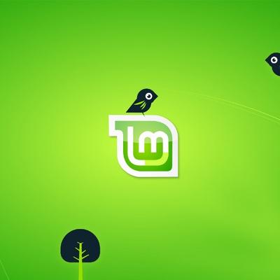 Natural mint wallpaper - KDE Store