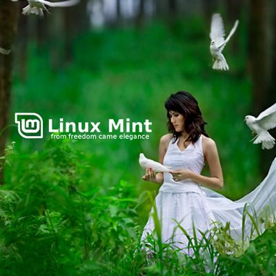 Linux Mint - KDE Store