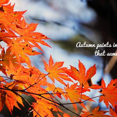 Autumn paints in colors that summer has never seen - KDE Store