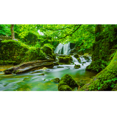 Radient forest lake - 4k - KDE Store