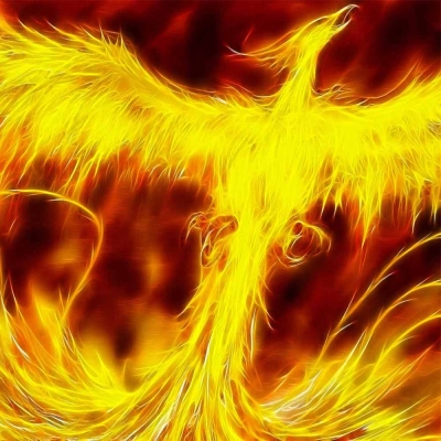 PHOENIX BIRD FIRE - Wallpapers PHOENIX BIRD FIRE - Wallpapers
