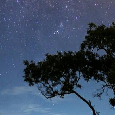 IOS-11 night tree sky 4k - KDE Store