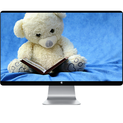 Teddy Bear Reading A Book - KDE Store