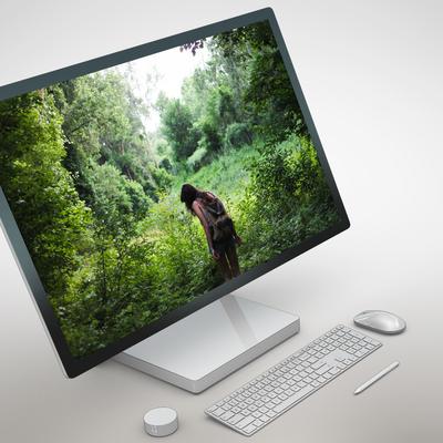 into the green - KDE Store