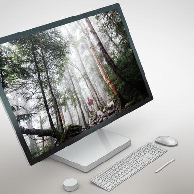 mist with forest - KDE Store