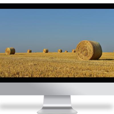 grass straws - KDE Store