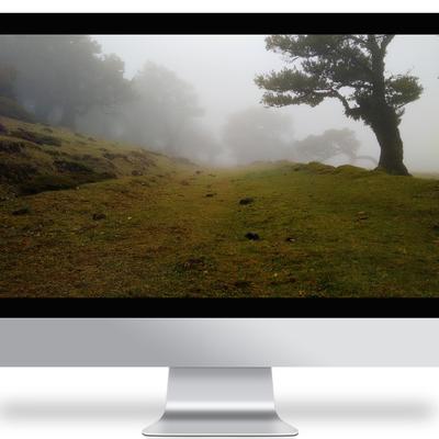 mist day - KDE Store
