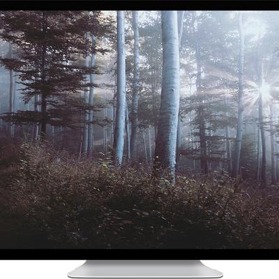 mist and forest - KDE Store