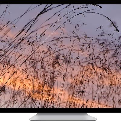 grass and sky - KDE Store