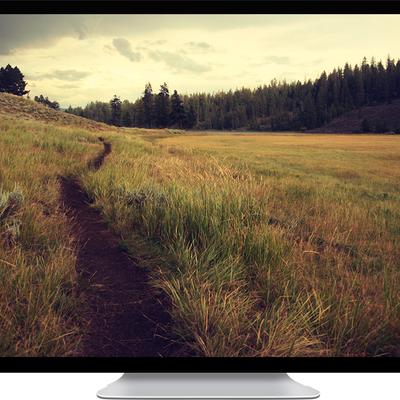 dry grass - KDE Store
