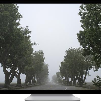 mist and trees - KDE Store