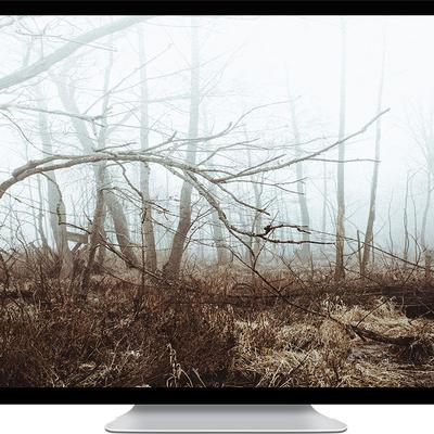 mist grass - KDE Store
