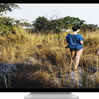 Grass Family - KDE Store