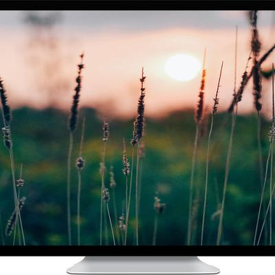grass - KDE Store