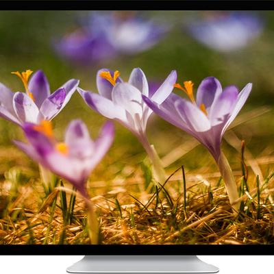 Iris Family - KDE Store