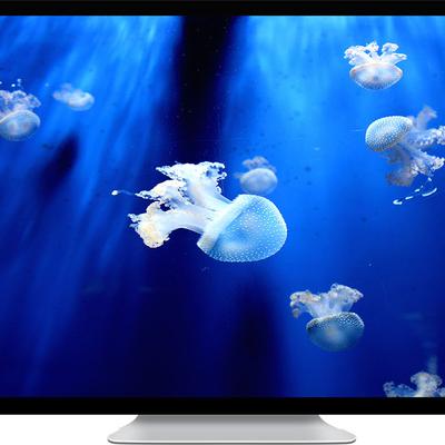 jelly fish - KDE Store