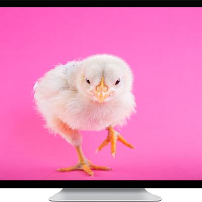 little check - KDE Store