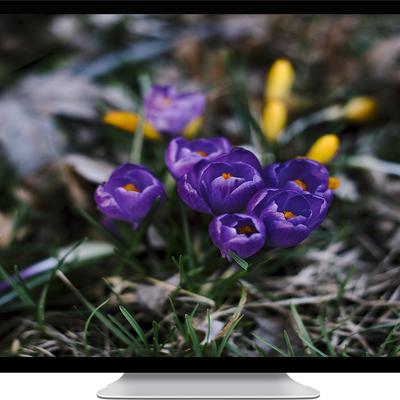 Iris - KDE Store
