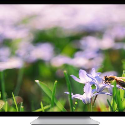 Iris Plant - KDE Store