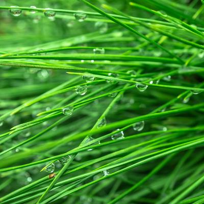 Rain drops - KDE Store