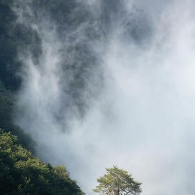 Mist - KDE Store