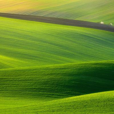 Green Grass - KDE Store