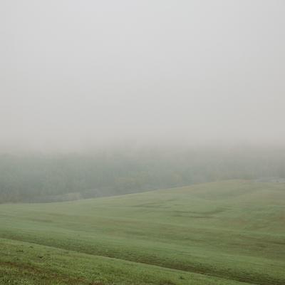 Grassland and Mist - KDE Store