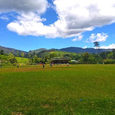 Grass Ground - KDE Store