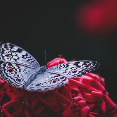 Beautiful World Nature Wallpaper - KDE Store