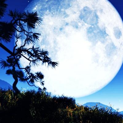 Moon lights dawn sky wallpaper - KDE Store