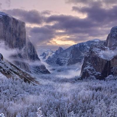 Mist Trees Mountains - KDE Store