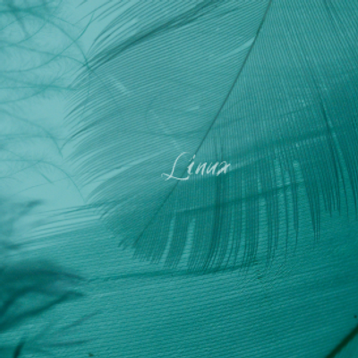 Linux - Green feather - KDE Store
