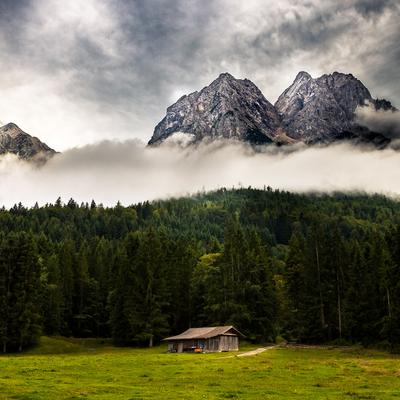 Brown Wooden House on Green Grass Field Near Green - KDE Store