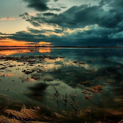 Body of Water Under Cloudy Sky - KDE Store