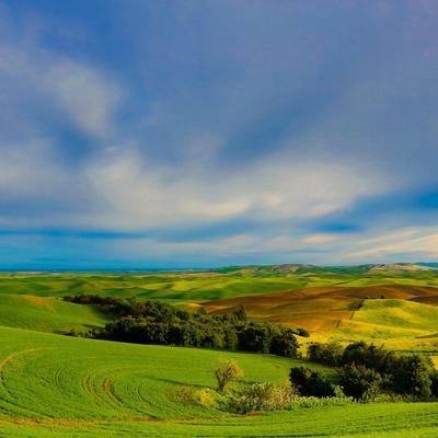 Green Grass Field Under Blue Sky During Daytime Full HD - KDE Store