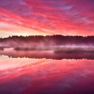 Forest trees lake sunrise mist-Nature theme wa.. - KDE Store